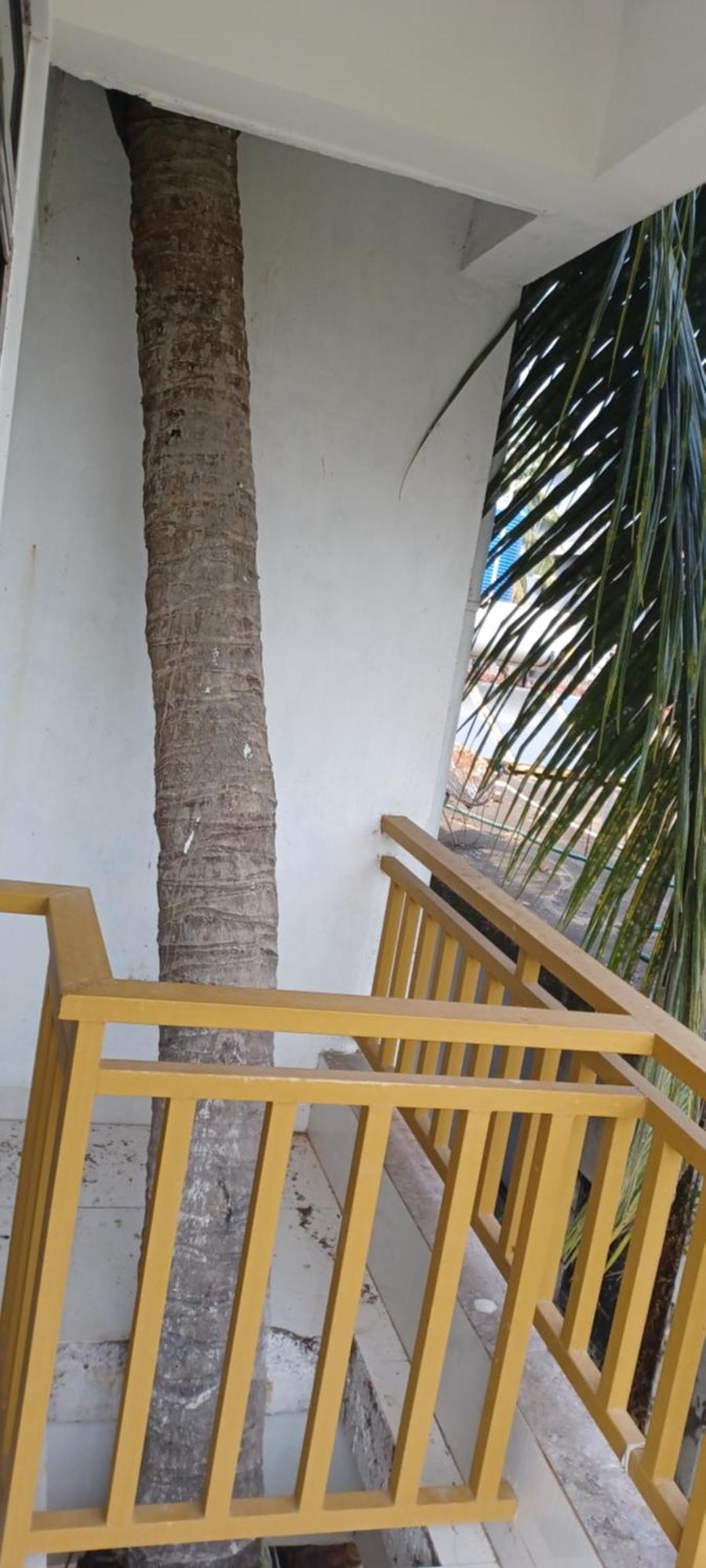 Prakash Holiday Inn Arambol Luaran gambar